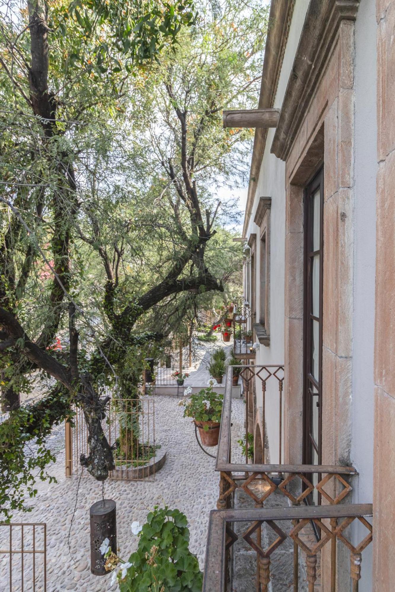 Casa Goyri Σαν Μιγκέλ ντε Αγιέντε Εξωτερικό φωτογραφία